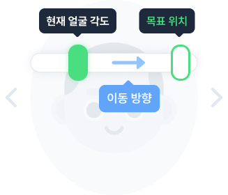 얼굴 정렬 가이드 확인 안내